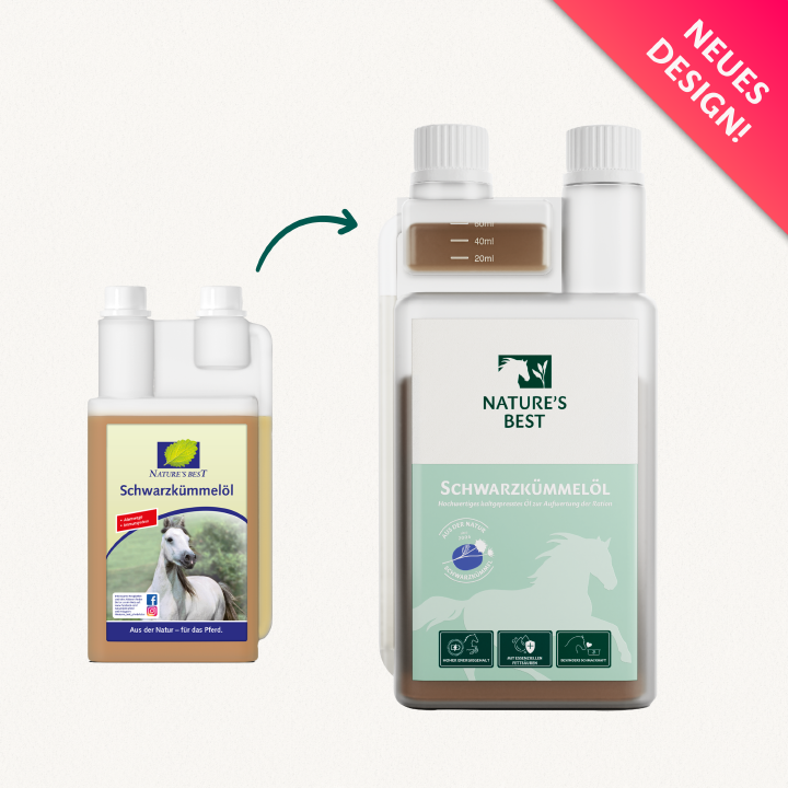 NATURE’S BEST Schwarzkümmel Öl